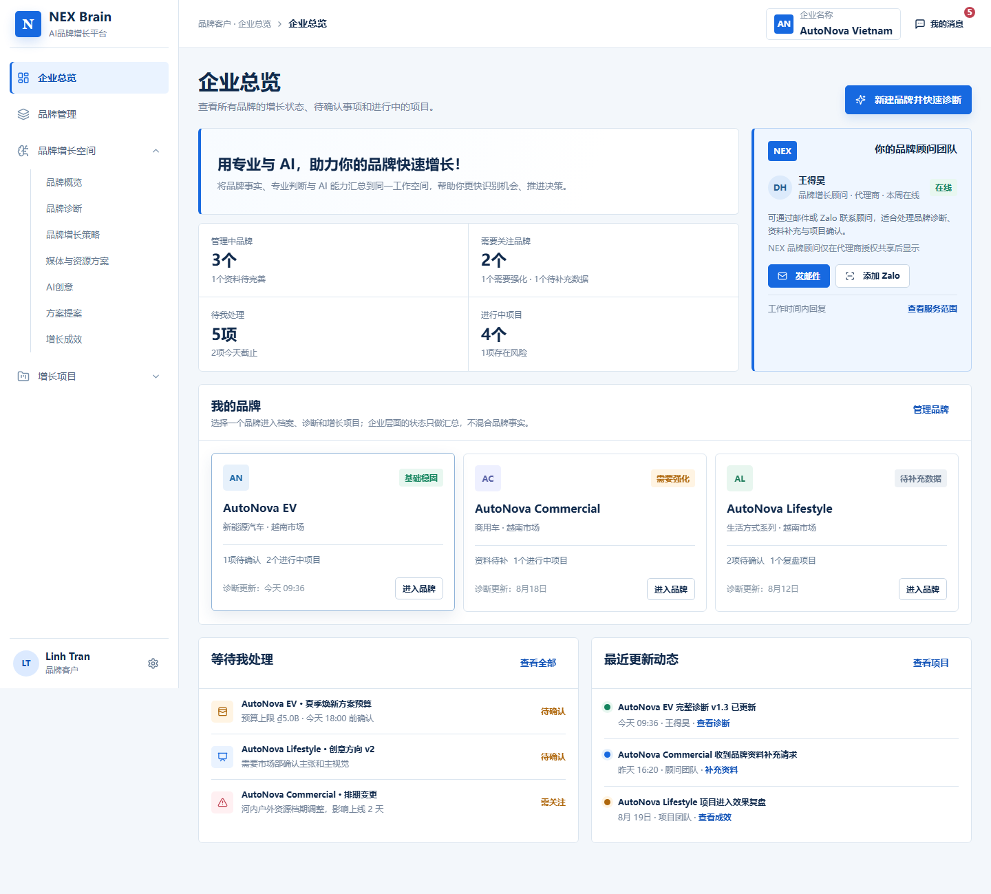 NEX Brain 企业总览:品牌、决策与项目进展